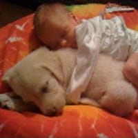 A baby and a dog sleeping on the bed