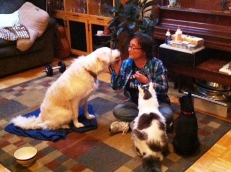 person with three dogs in a home with large rug