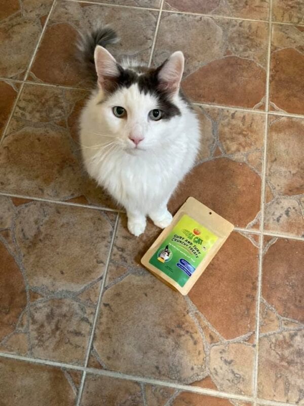 Cat with bag of chax cat surf and turf treats