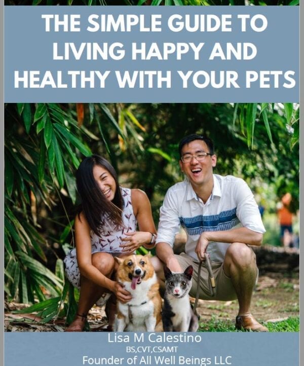Simple Guide to living healthy and healthy with pets photo