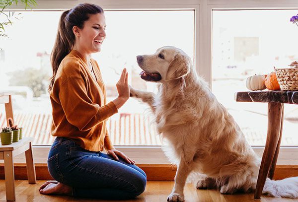 A woman sitting on the floor with her dog.