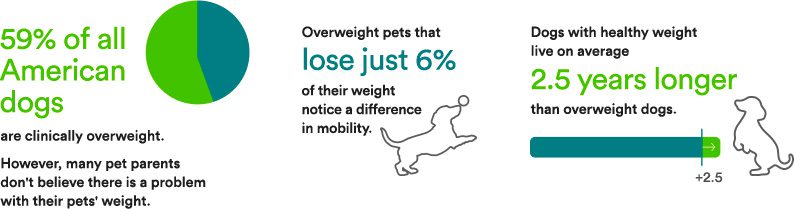 59% of all American dogs Are clinically over weight, a 6% loss in weight may give them 2.5 years longer life