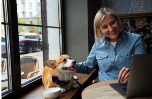 A woman sitting infront of a window with each hand petting a dog