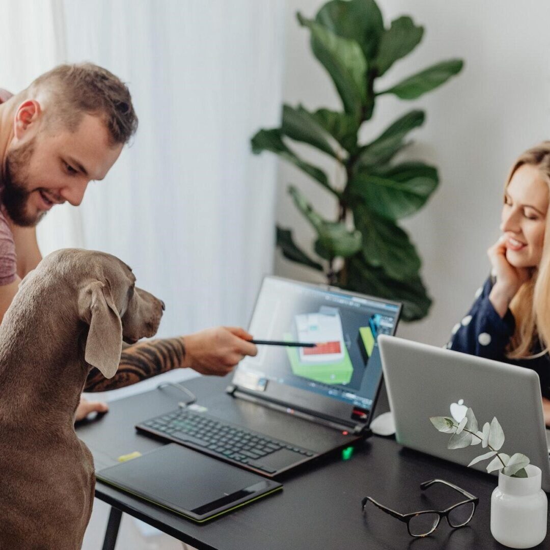 People in an office with a dog