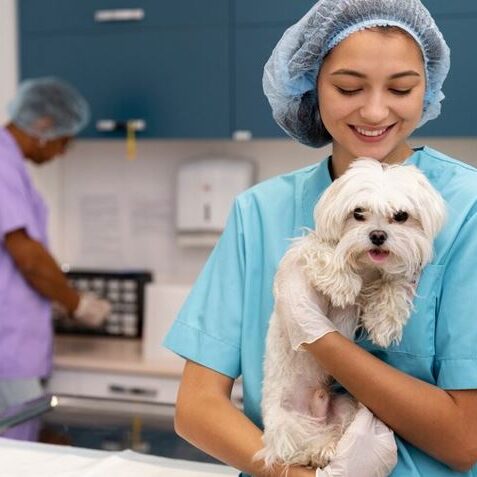 Launching an ec friendly business A woman dressed in scrubs holding a little white dog